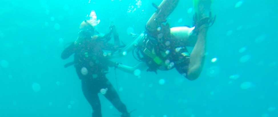 Scuba Diving in Kecil, Perehentian Islands – Malaysia thumbnail